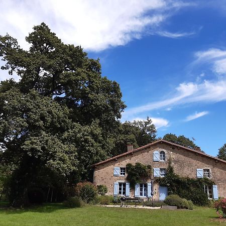 Domaine Des Roches Blanches Villa Le Pin  Exteriör bild