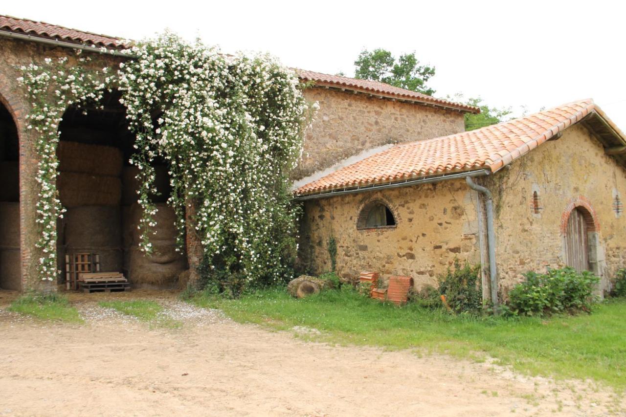 Domaine Des Roches Blanches Villa Le Pin  Exteriör bild