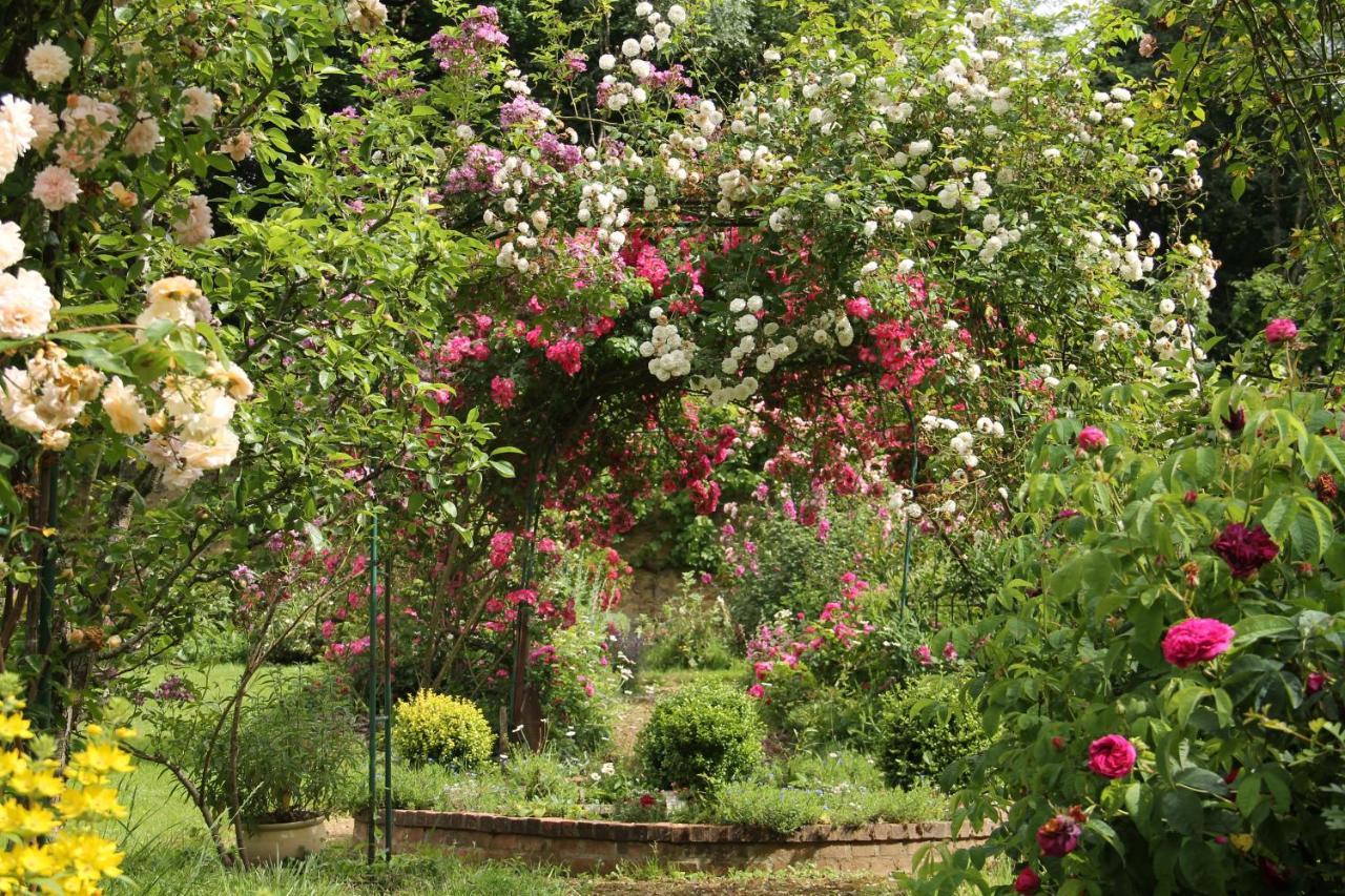 Domaine Des Roches Blanches Villa Le Pin  Exteriör bild