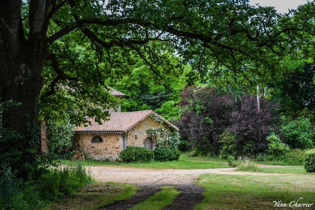 Domaine Des Roches Blanches Villa Le Pin  Exteriör bild