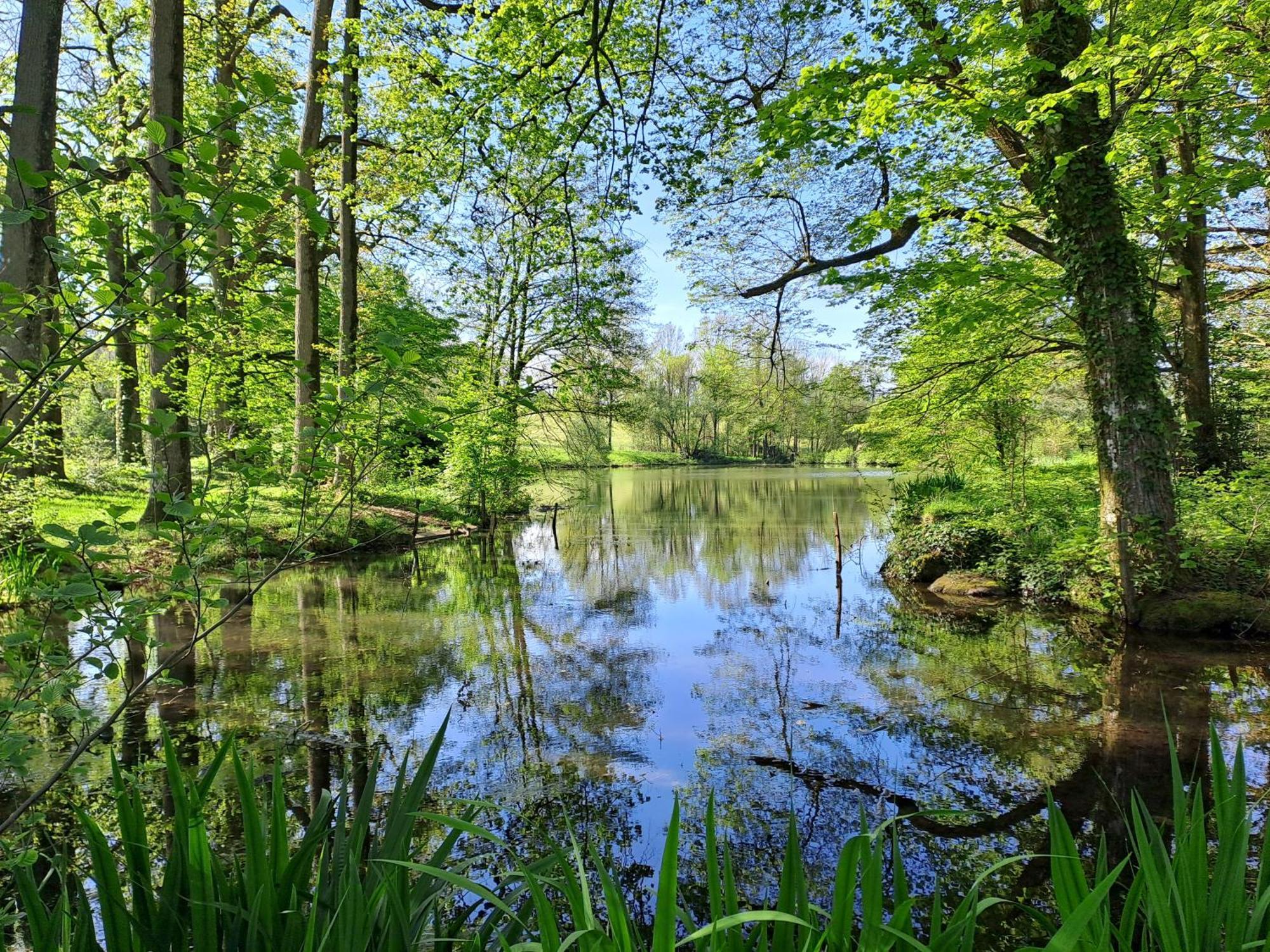 Domaine Des Roches Blanches Villa Le Pin  Exteriör bild