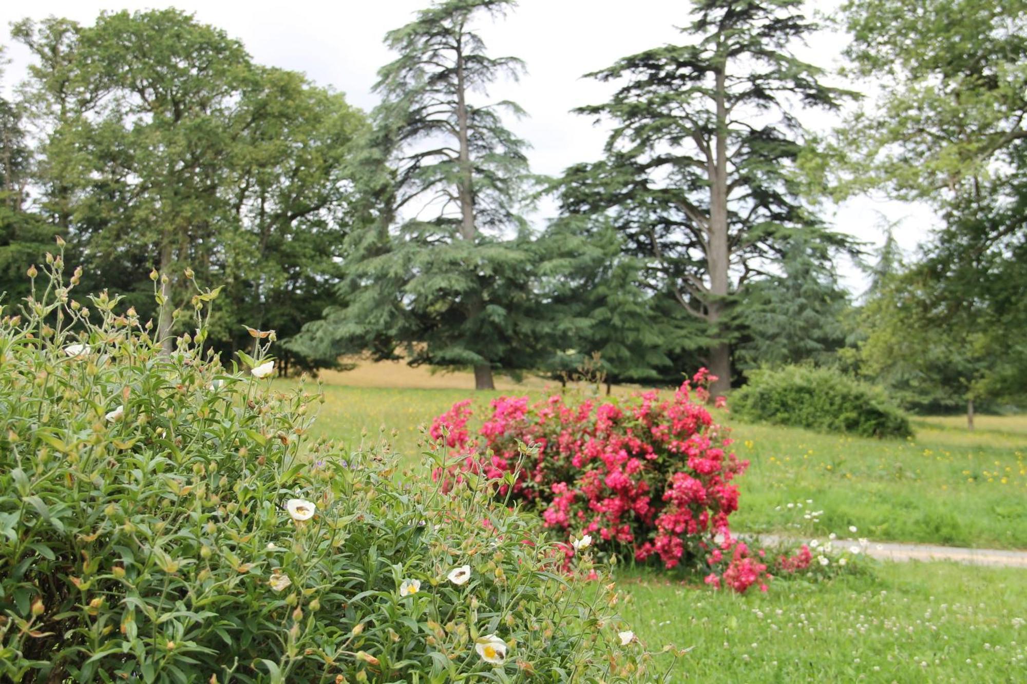 Domaine Des Roches Blanches Villa Le Pin  Exteriör bild