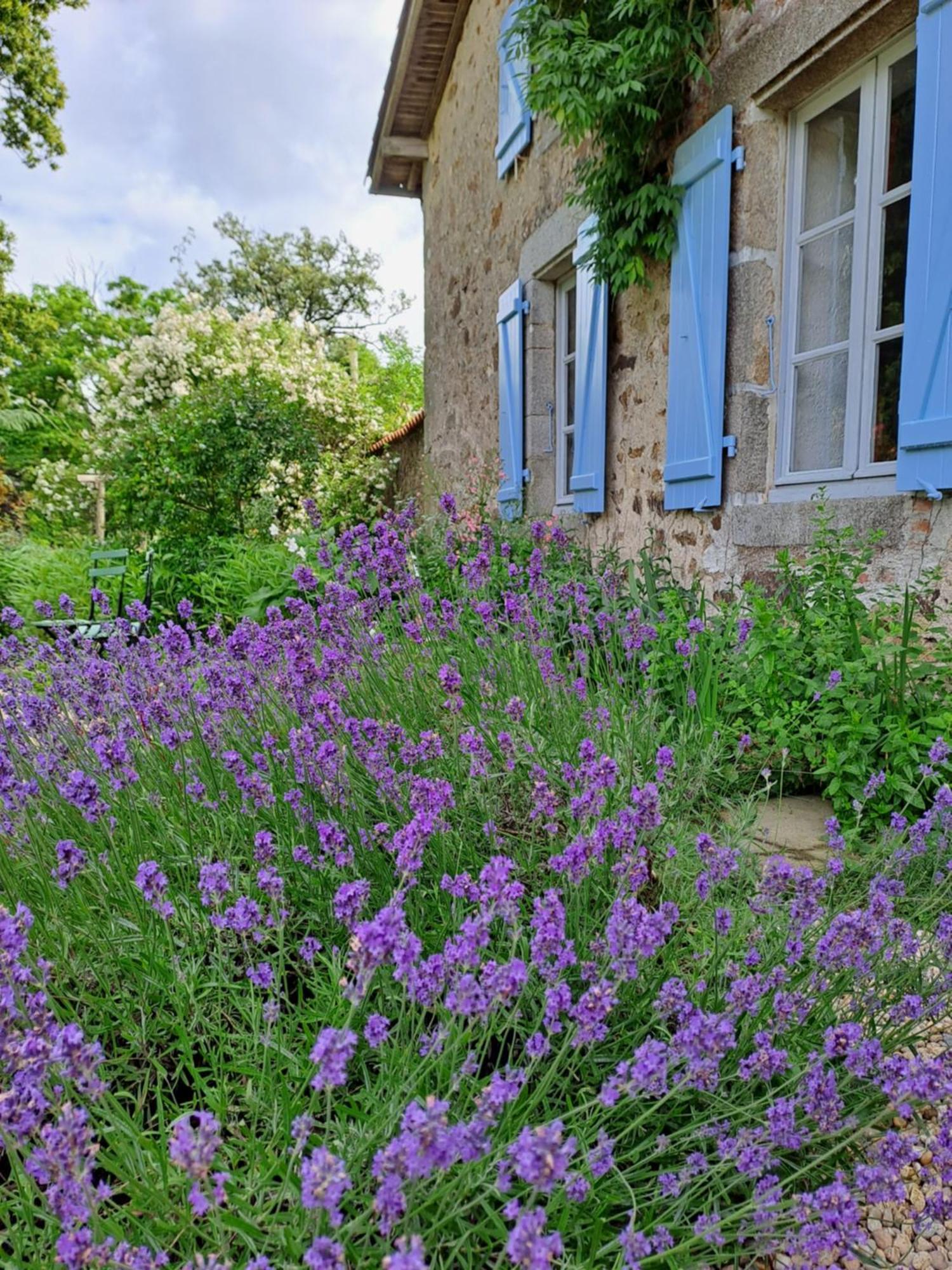 Domaine Des Roches Blanches Villa Le Pin  Exteriör bild