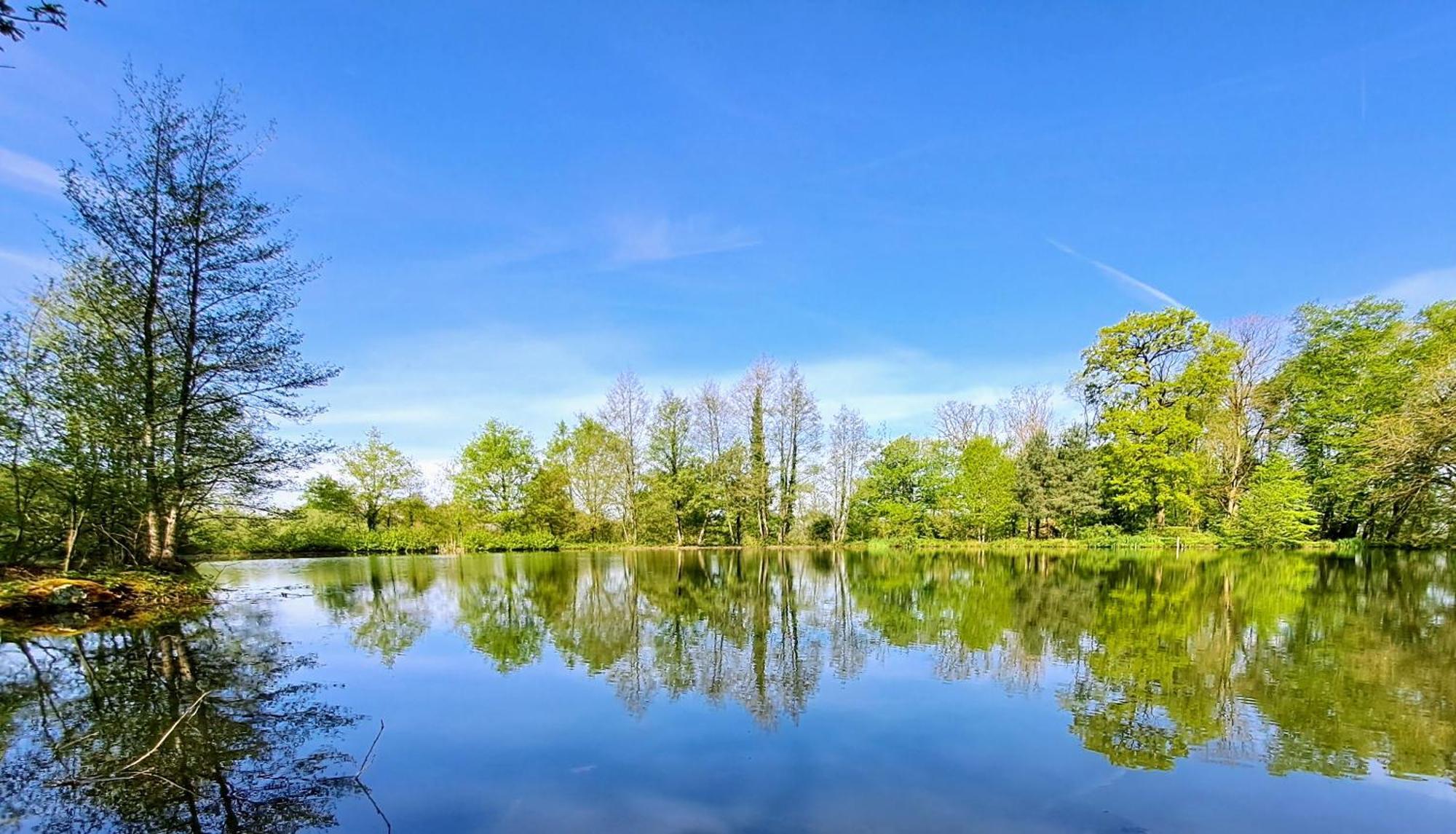 Domaine Des Roches Blanches Villa Le Pin  Exteriör bild