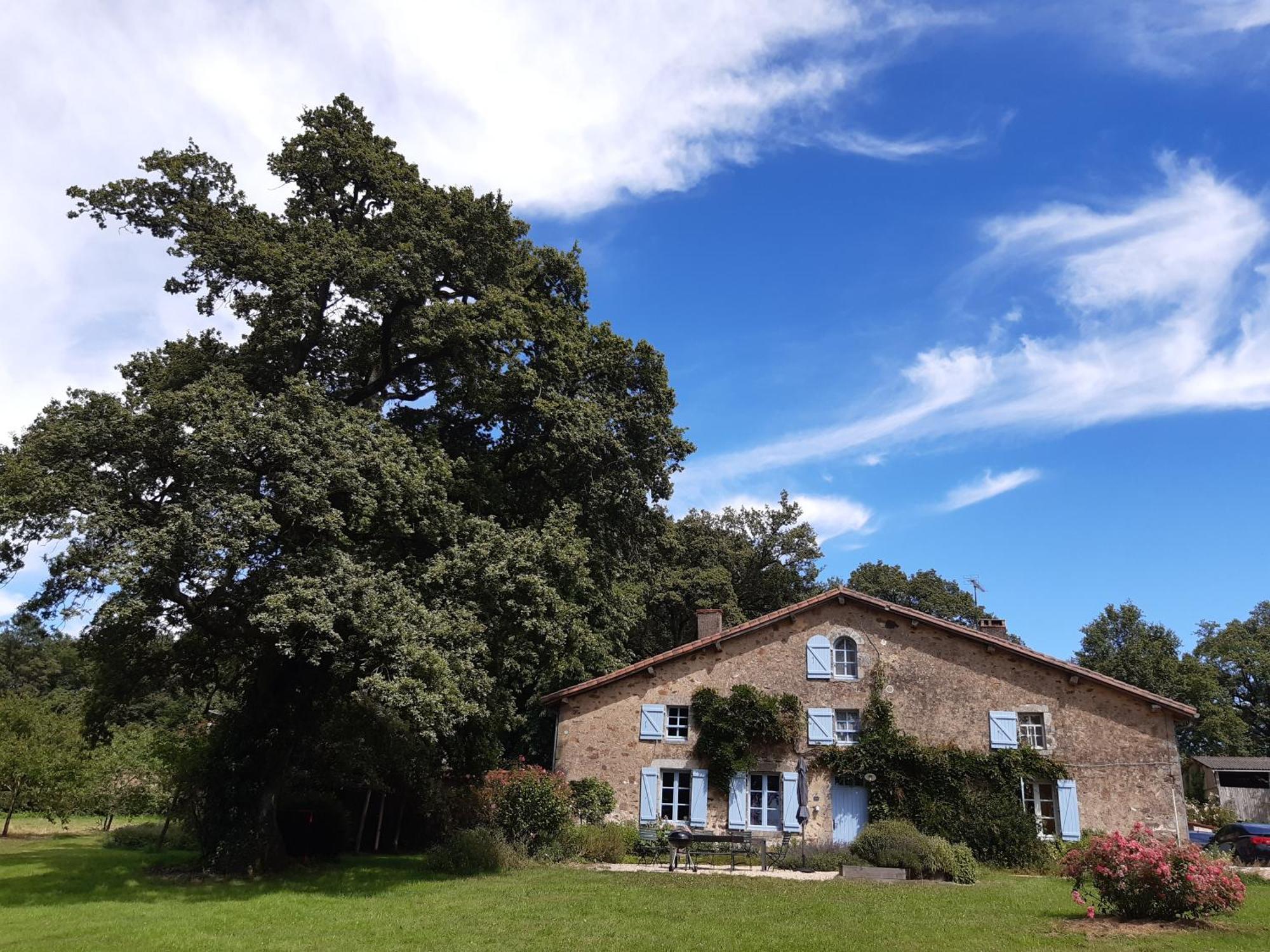 Domaine Des Roches Blanches Villa Le Pin  Exteriör bild