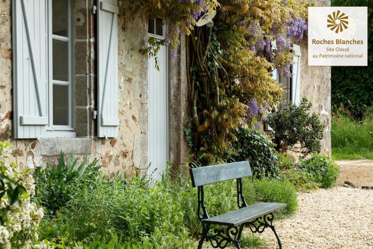 Domaine Des Roches Blanches Villa Le Pin  Exteriör bild